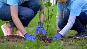 Ecosystem Restoration Camps - Episode 7