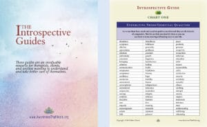 Introspective Guides Sample