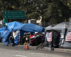 LA Homeless Encampment