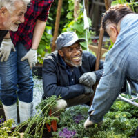 The Global Bridge Foundation’s Initiatives: Homelessness, Regenerative Agriculture, and More